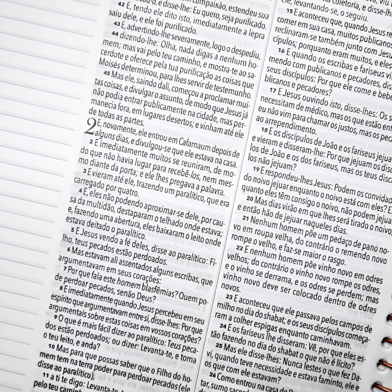 Bíblia Anote NVI Espiral Capa Dura Leão Grafite - Image 4