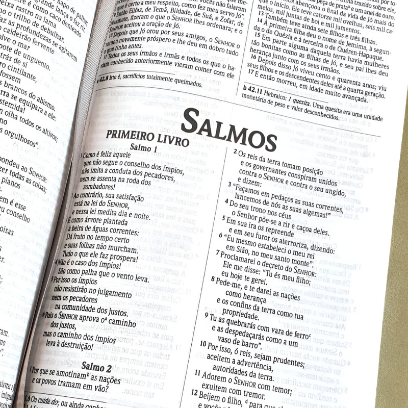Bíblia Sagrada | NVI | Lettering Capa Dura Verde | Tradução Contemporânea - Image 4