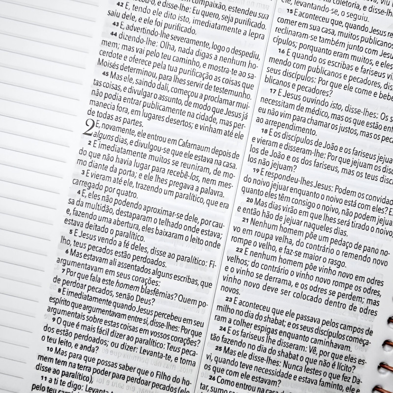 Bíblia Anote King James Capa Dura Espiral Lion Colors - Image 4