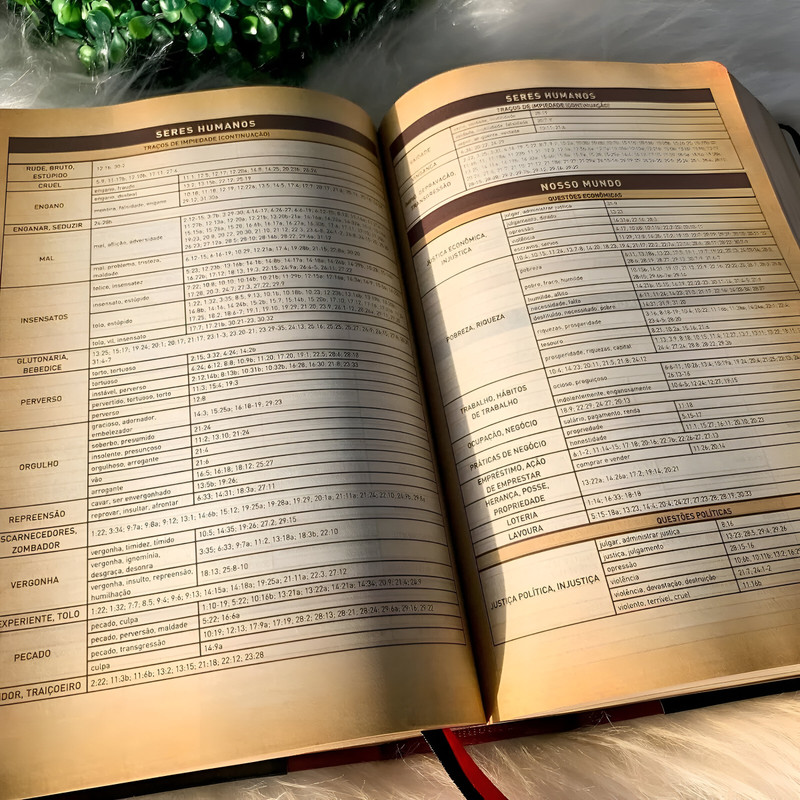 Bíblia de Estudo Holman King James 1611 Fiel Capa Luxo Preta - Image 4