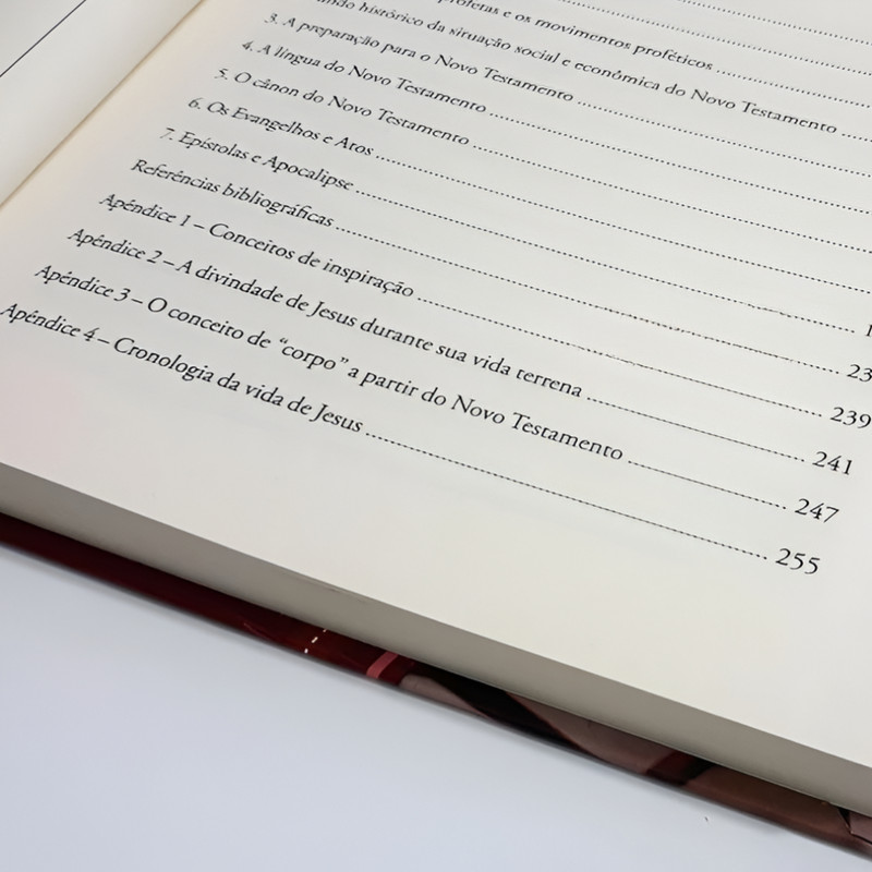 Livro Panorama Bíblico do Novo Testamento - Image 4