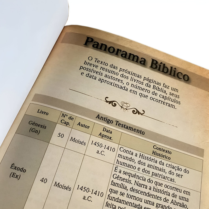 Bíblia NVT Letra Grande Luxo Fendi - Image 4