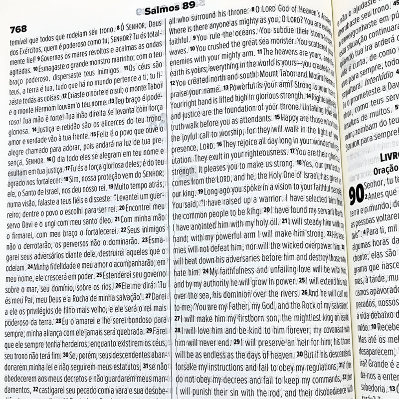 Bíblia NVT Bilingue Luxo Avelã - Image 4