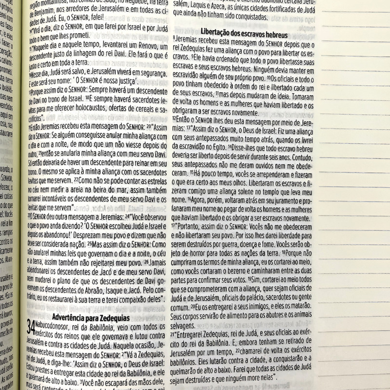 Bíblia NVT Leia e Anote Zíper Florescendo Em Fé - Image 4