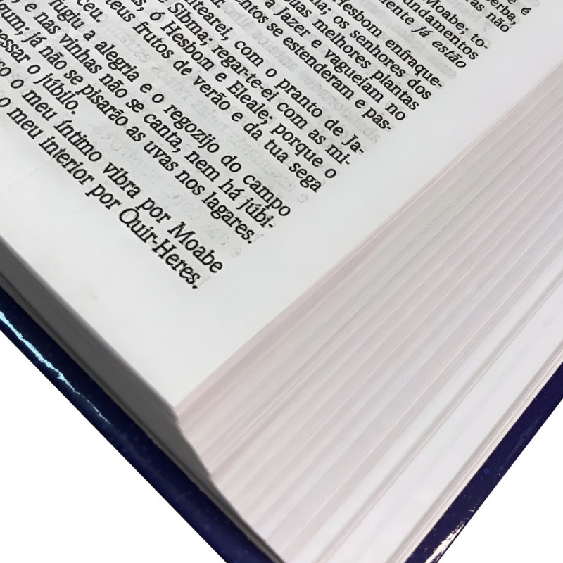 Bíblia NVI Evangelize Jornada Com Cristo - Image 4