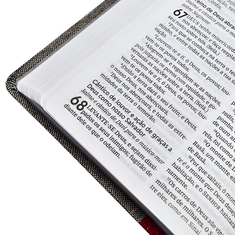 Bíblia Sagrada ACF | Capa Brochura | Vermelha e Cinza - Image 4