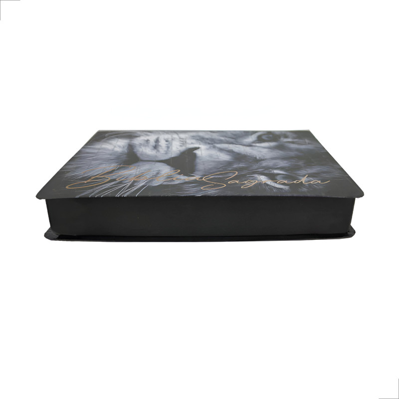 Bíblia NVI Semi Luxo Letra Grande Capa Leão Promessas Divinas - Image 3