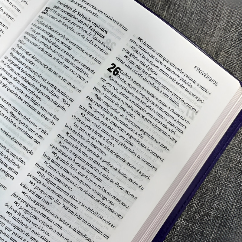 Bíblia King James Ultrafina Slim Lilás - Image 4