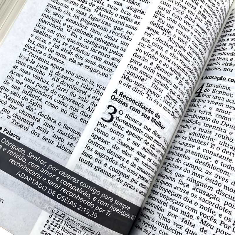Bíblia Estudo NVI Grande Vermelha Joyce Meyer - Image 2