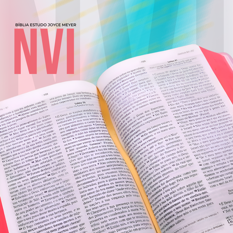 Bíblia Estudo Da Vida Diária NVI Joyce Meyer Abstrata - Image 2