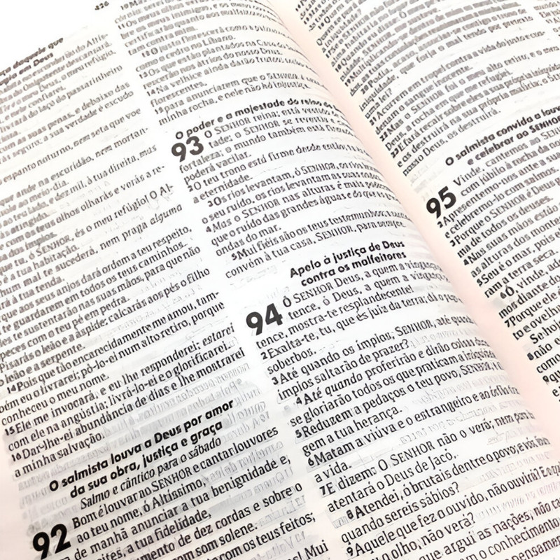 Bíblia Sagrada | ARC | Capa Dura | Lion Colors Black White - Image 4