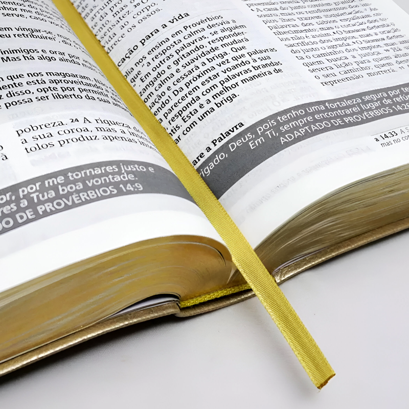 Bíblia Estudo NVI Grande Mostarda Joyce Meyer - Image 3