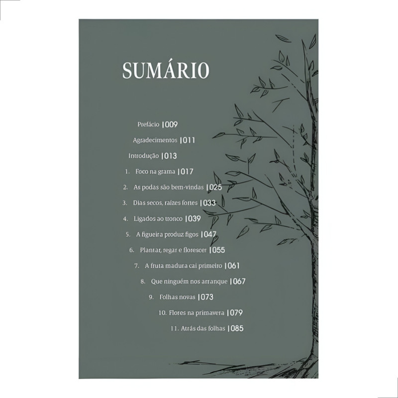 Livro Encontros Com Deus No Jardim Telmo Martinello - Image 4