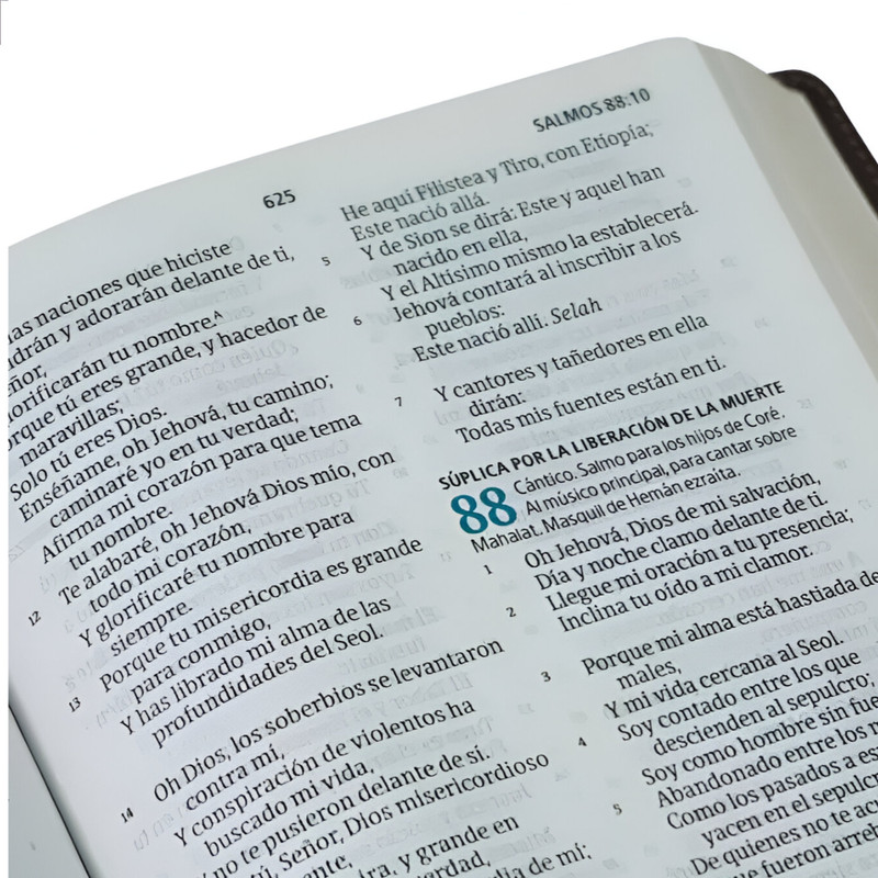 Biblia Ministerial NVI Preto Luxo - Image 4