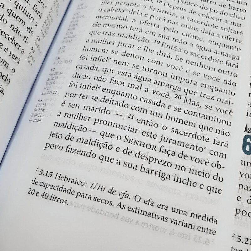 Biblia Ministerial NVI Marrom Escuro - Image 4