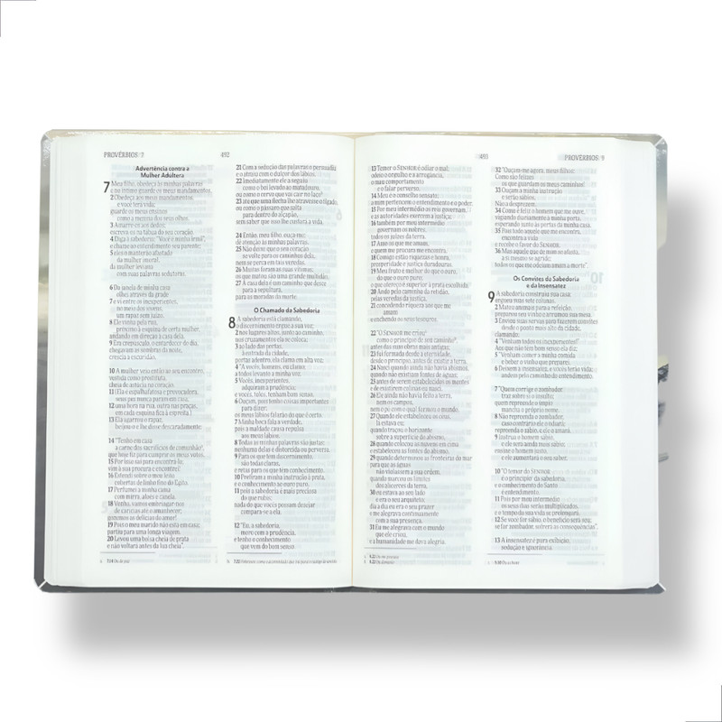 Bíblia Sagrada Nvi Semi-luxo Ele Vive - Image 4