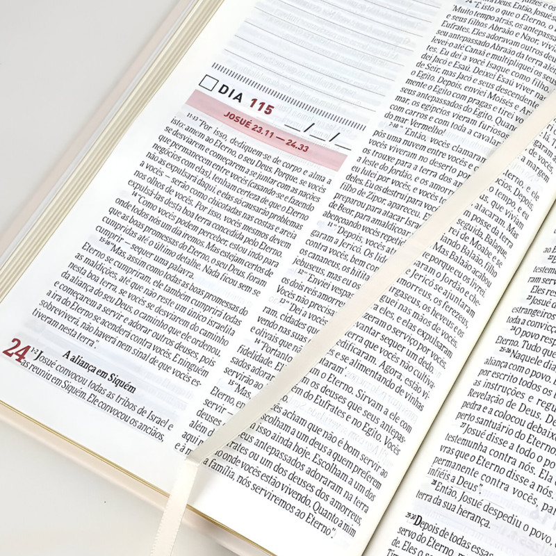 Bíblia Devocional Todo Dia E Espaço Para Anotações Vitral - Image 4