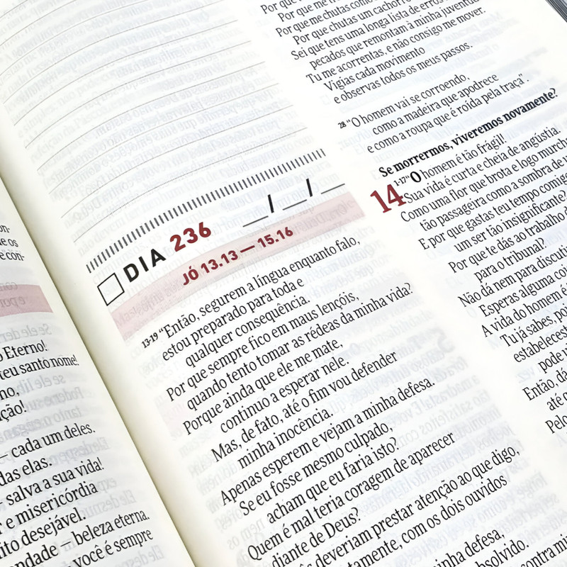 Bíblia Devocional Todo Dia Espaço Para Anotações Retro - Image 4