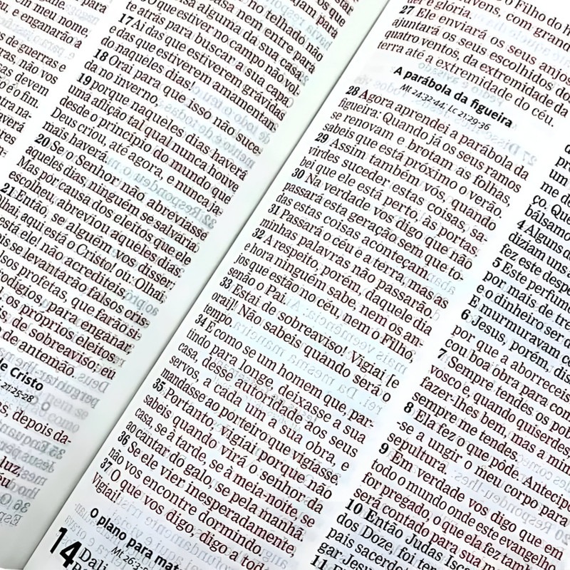 Bíblia Aec Letra Gigante Verde Estampada - Image 4