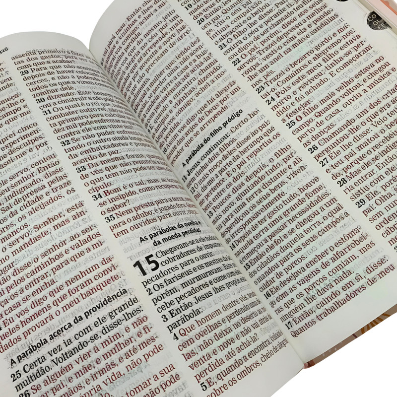 Bíblia Sagrada Salmão Aec Letra Grande - Image 4