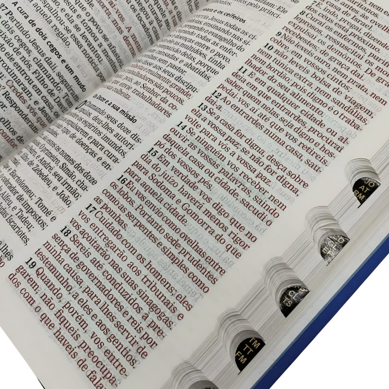 Bíblia Sagrada Leão Azul Aec Letra Grande - Image 4