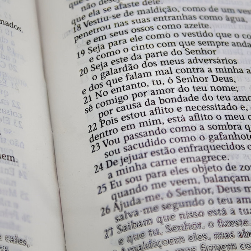 Bíblia Sagrada Folhagem Capa Semiluxo Aec - Image 4