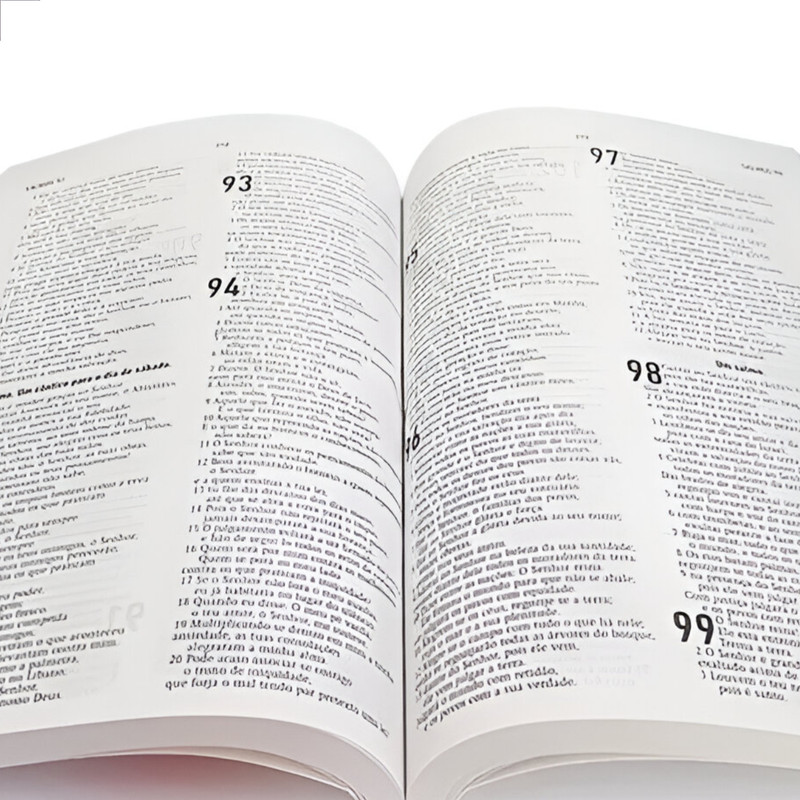 Bíblia Sagrada Àguia Capa Semiluxo Aec - Image 4