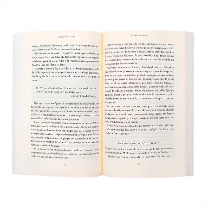 O Despertar Da Leoa | Levante-se e Transforme Seu Mundo | Lisa Bevere - Image 4