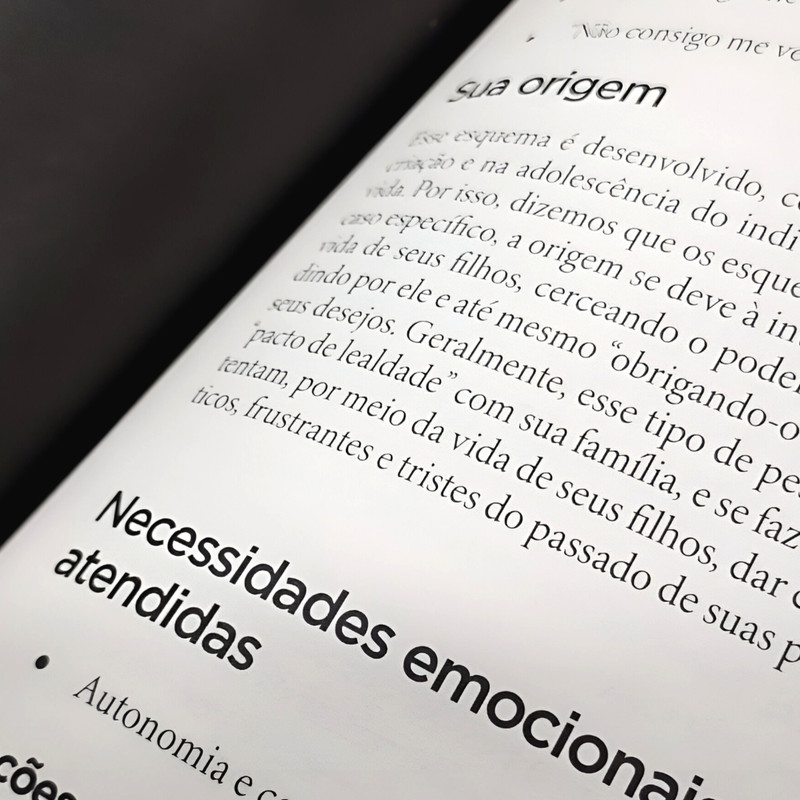 Livro Resiliência Cleo Holanda - Image 4