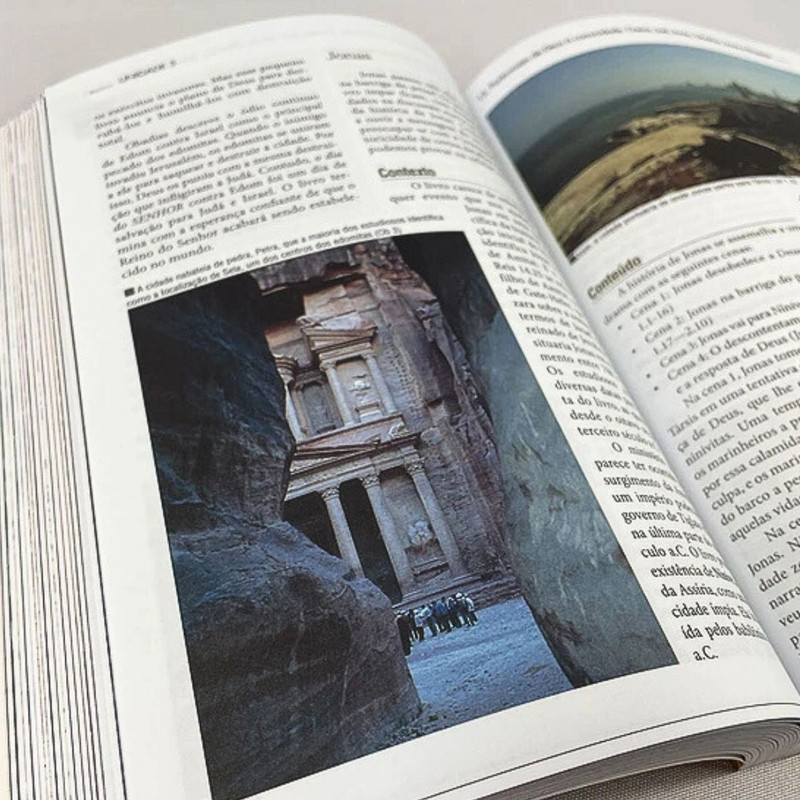 Livro Descobrindo a Bíblia Alex Varughese - Image 4