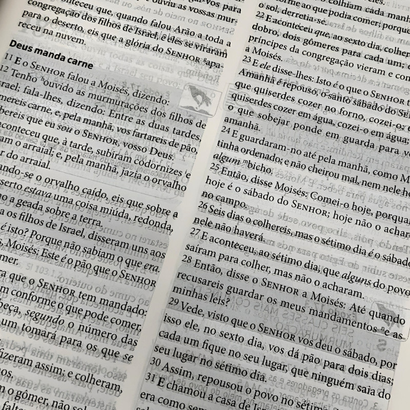 Bíblia Para Pregadoras e Líderes Geziel Gomes - Image 4