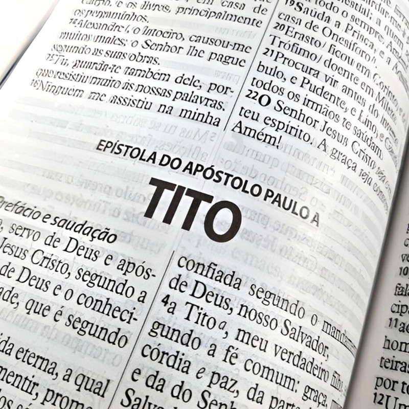 Bíblia Da Mulher Vitoriosa Letra Gigante Arc Rosa Claro - Image 4