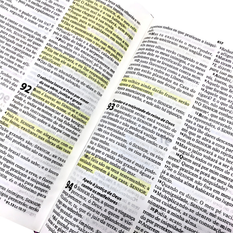 Bíblia ARC Midinho O Pequeno Missionário Capa Azul - Image 4