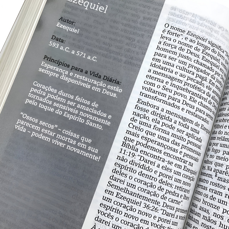 Biblia Estudo Nude Grande NVI Joyce Meyer - Image 2