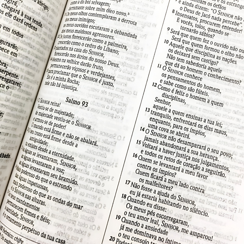 Bíblia Sagrada NVI Capa Dura Especial Cordeiro de Deus - Image 5