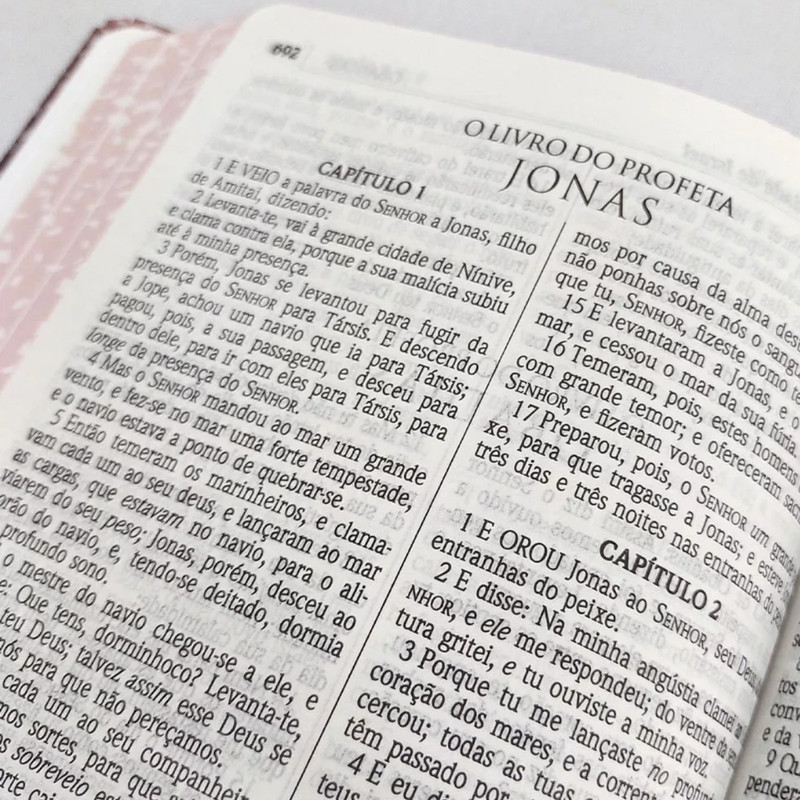 Bíblia ACF Capa Dura Especial Púrpura - Image 5