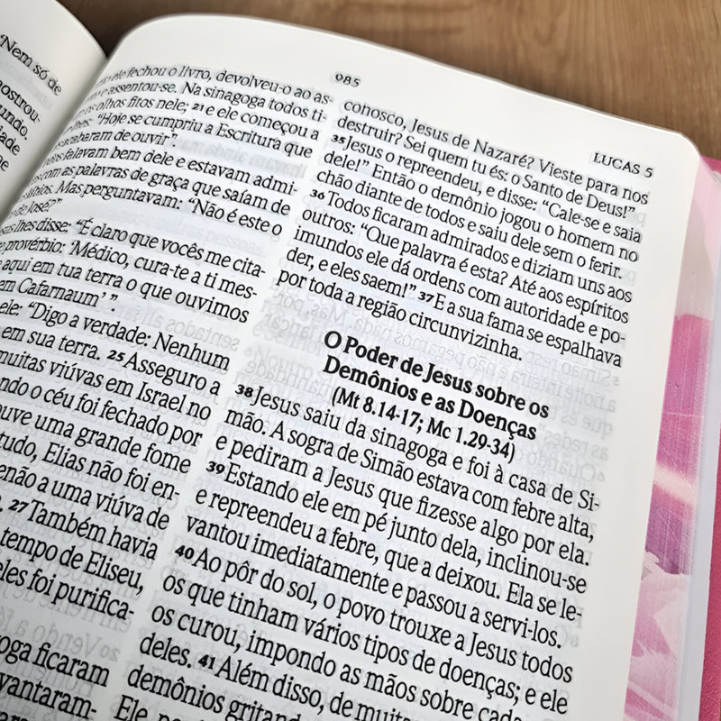 Bíblia NVI Extra Gigante Luxo Especial Rosa - Image 5