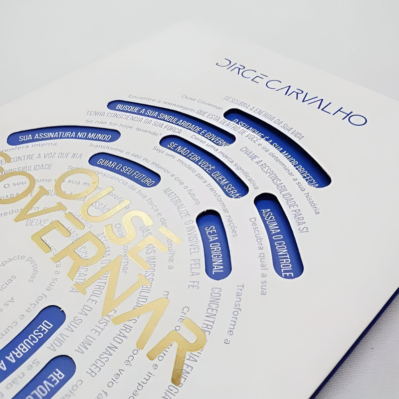 Ouse Governar | Dirce Carvalho | Você Pode Ir Além - Image 5