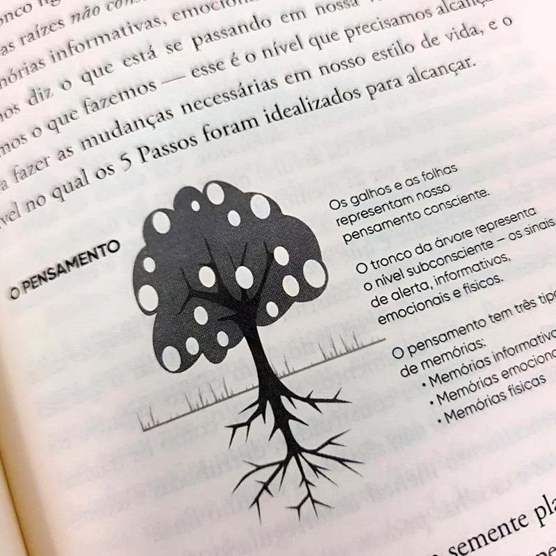 Livro Organize Sua Desordem Mental 5 Passos Caroline. Leaf - Image 5