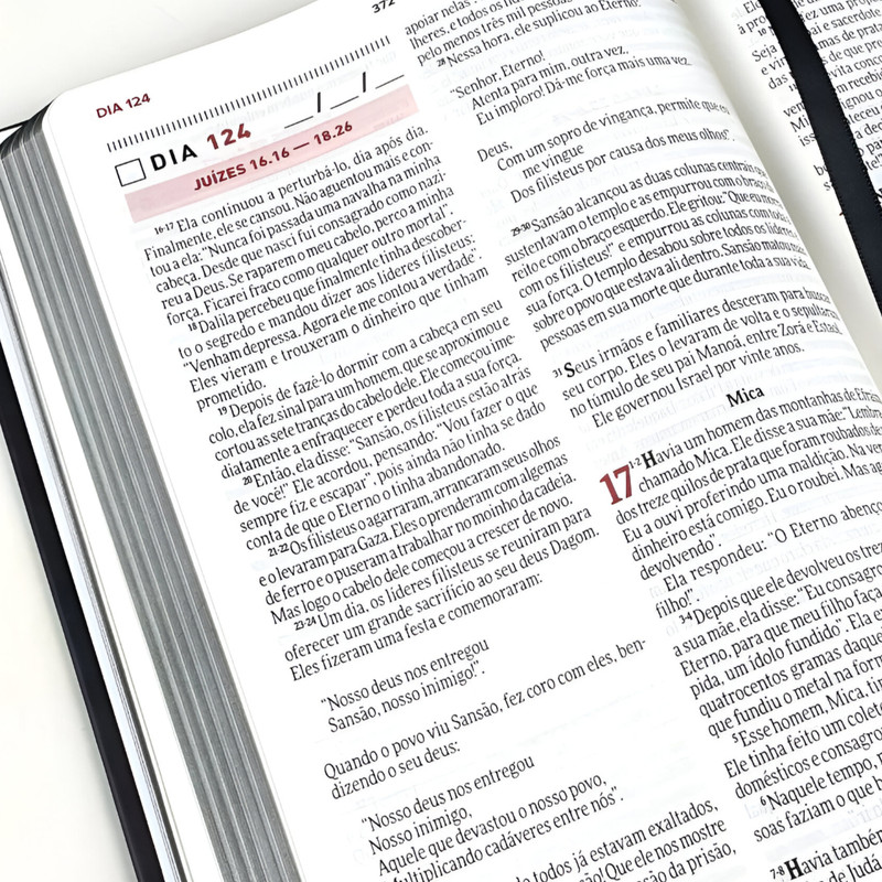 Bíblia Devocional Todo Dia Espaço Para Anotações Retiro - Image 5
