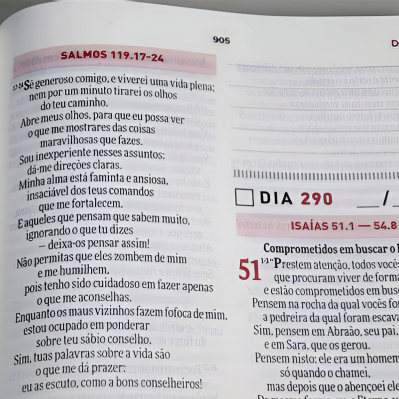 Bíblia Devocional Todo Dia Espaço Para Anotações Paisagem - Image 5