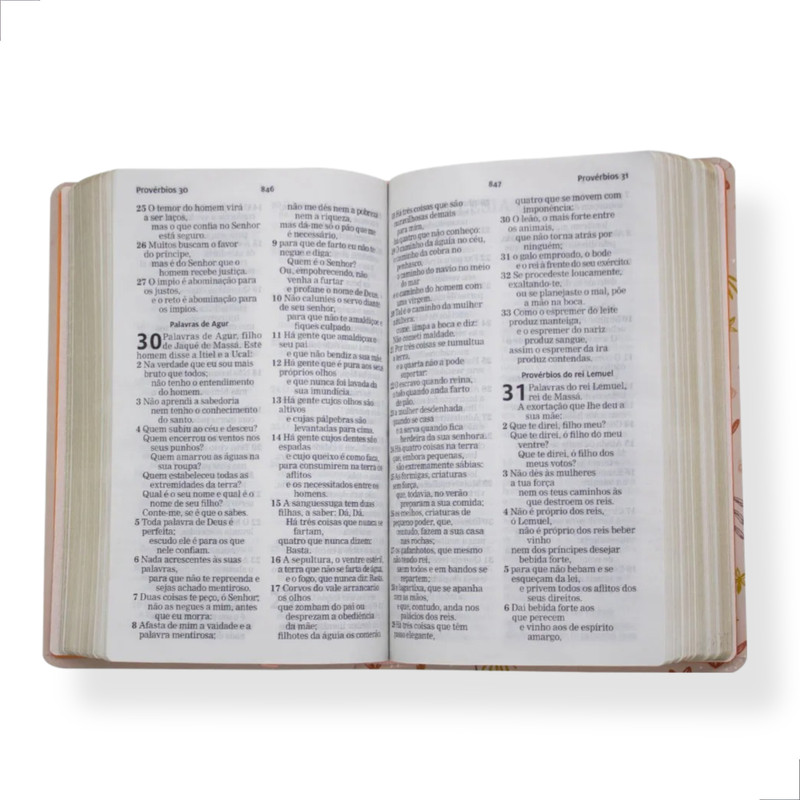 Bíblia Aec Letra Gigante Salmão Flores - Image 5