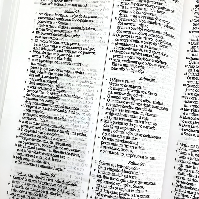 Bíblia Sagrada NVI Leão Dourado - Image 5