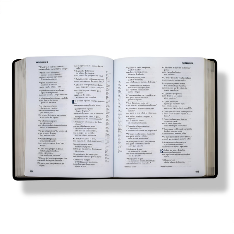 Biblia Ministerial NVI Preto Luxo - Image 6