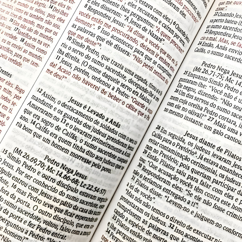 Bíblia Sagrada NVI Capa Dura Especial Cordeiro de Deus - Image 6