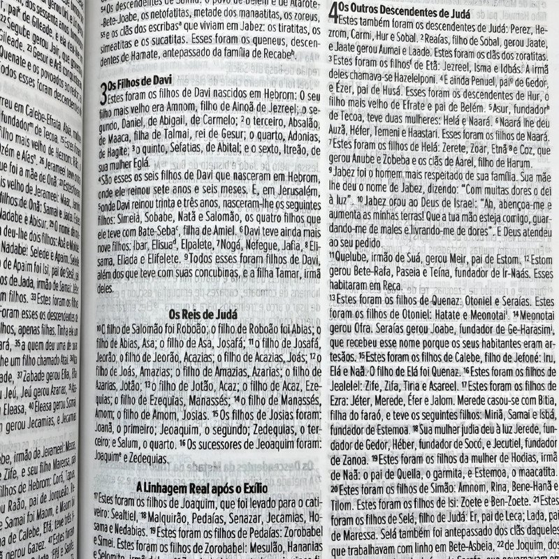 Bíblia NVI Luxo Capa Leão da Tribo de Judá - Image 6