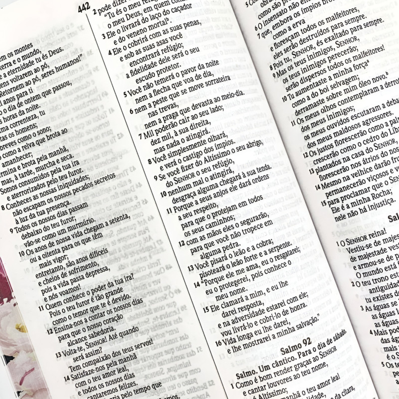 Bíblia Sagrada NVI Capa Dura Especial Floresta Negra - Image 6