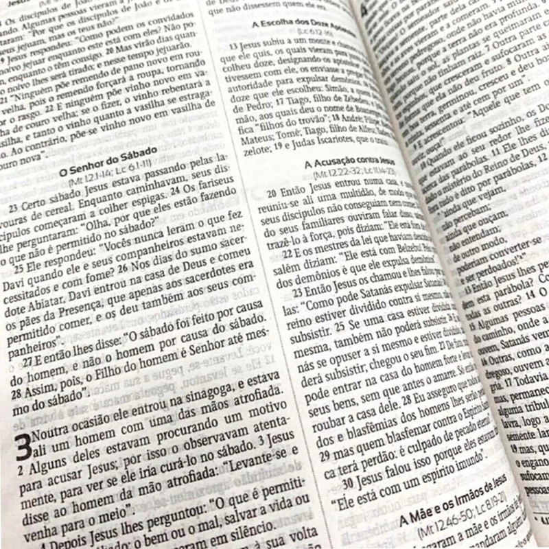 Bíblia NVI Semi Luxo Letra Grande Capa Leão Promessas Divinas - Image 5