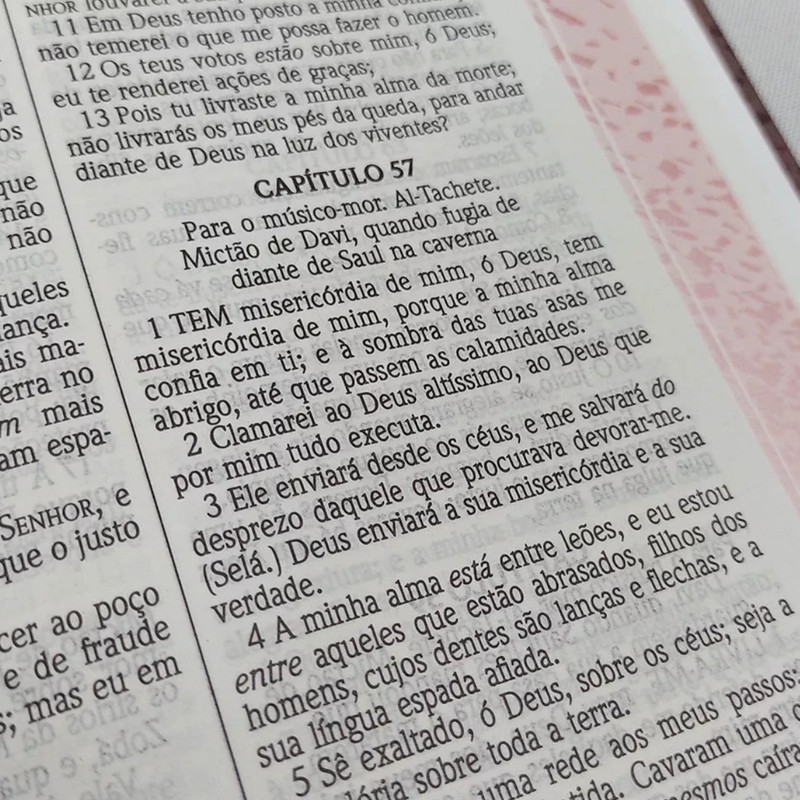 Bíblia ACF Capa Dura Especial Púrpura - Image 6