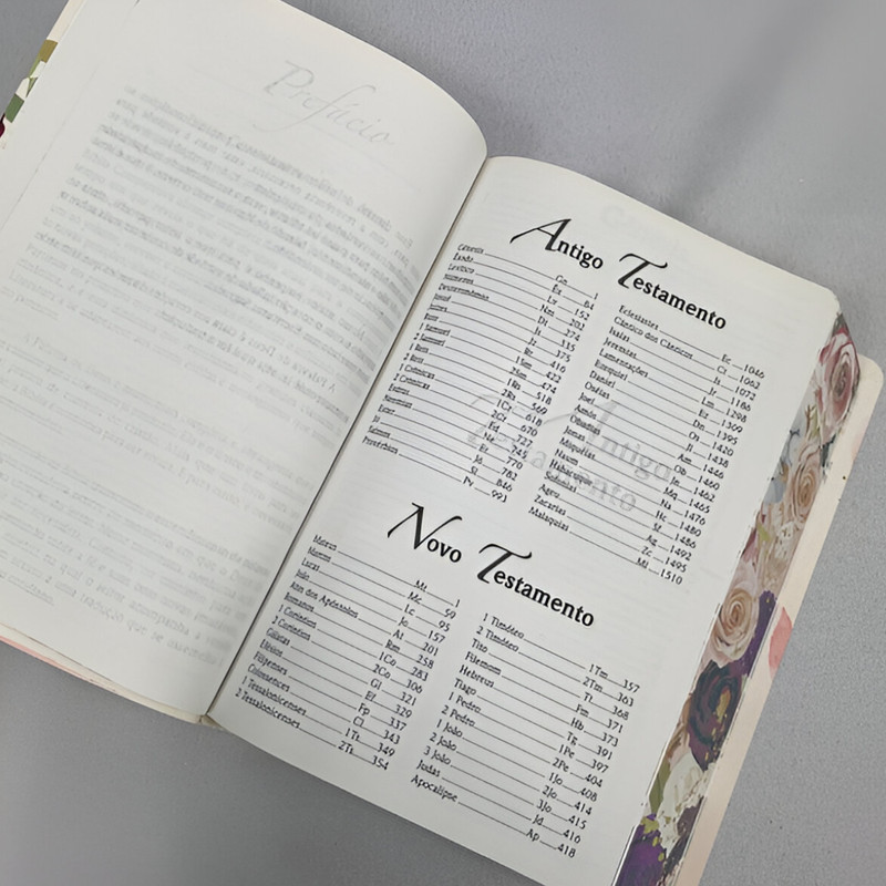Bíblia Comparativa NVI Extra Grande ARC Flor Henna - Image 6